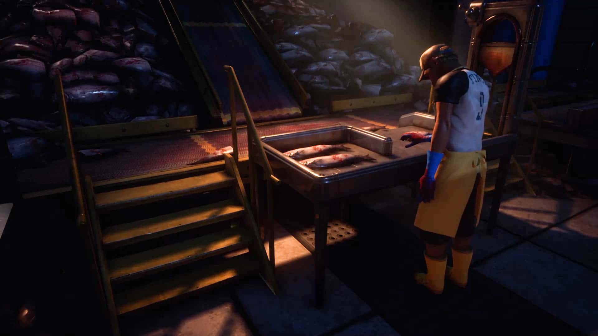 艾迪芬奇的记忆 What Remains of Edith Finch 中文版全息投影